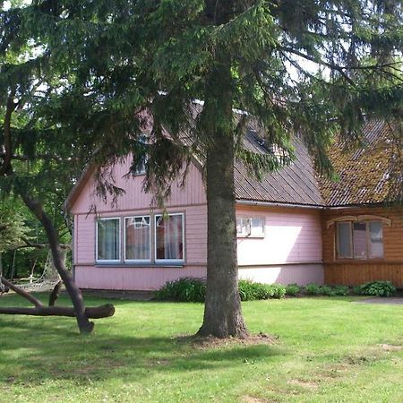 Pensjonat Lauku Viesu Maja Bajari Rucava Zewnętrze zdjęcie